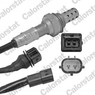 Oxygen Sensor
